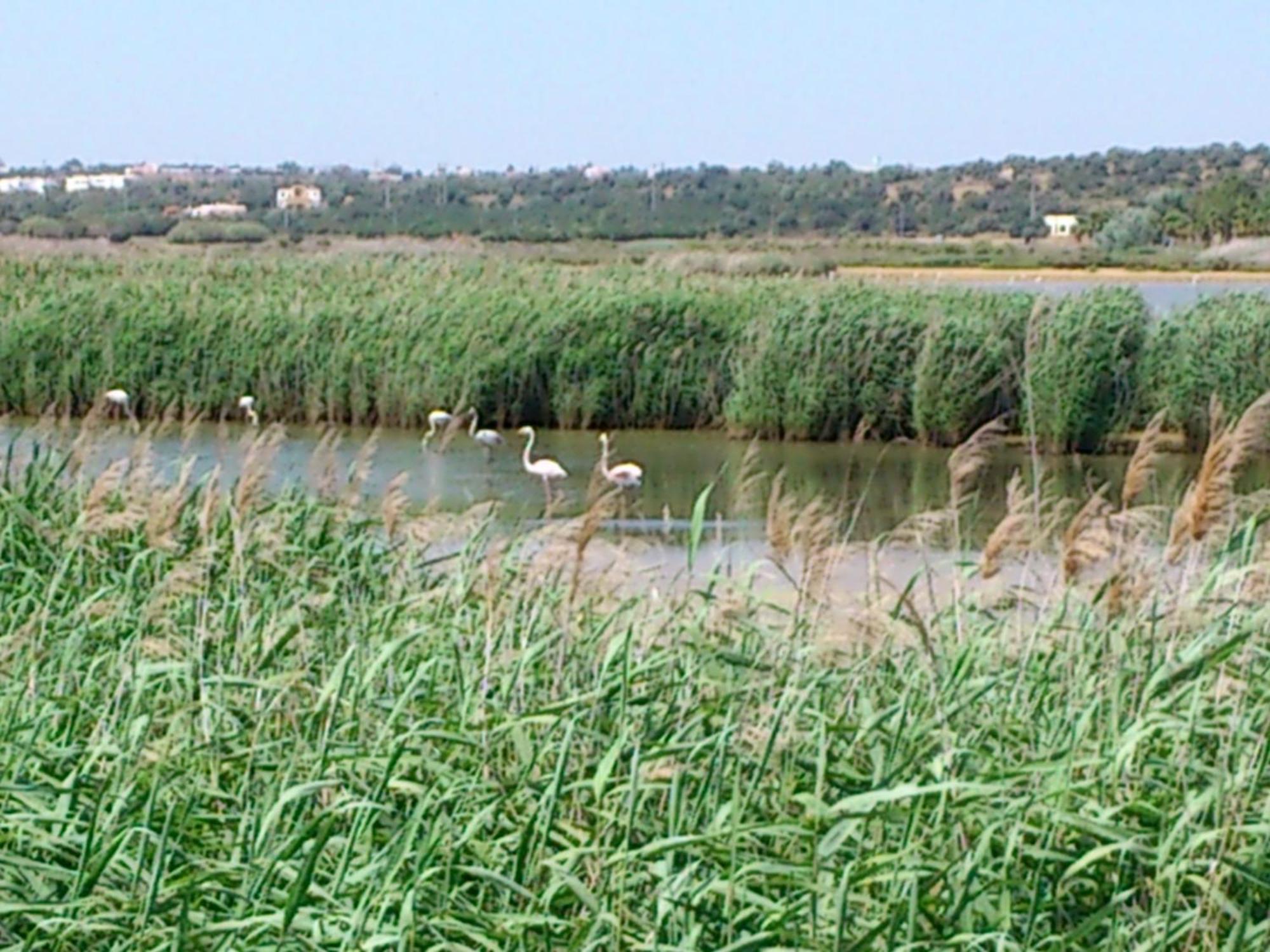 Apart-hotel Bayside Salgados Albufeira