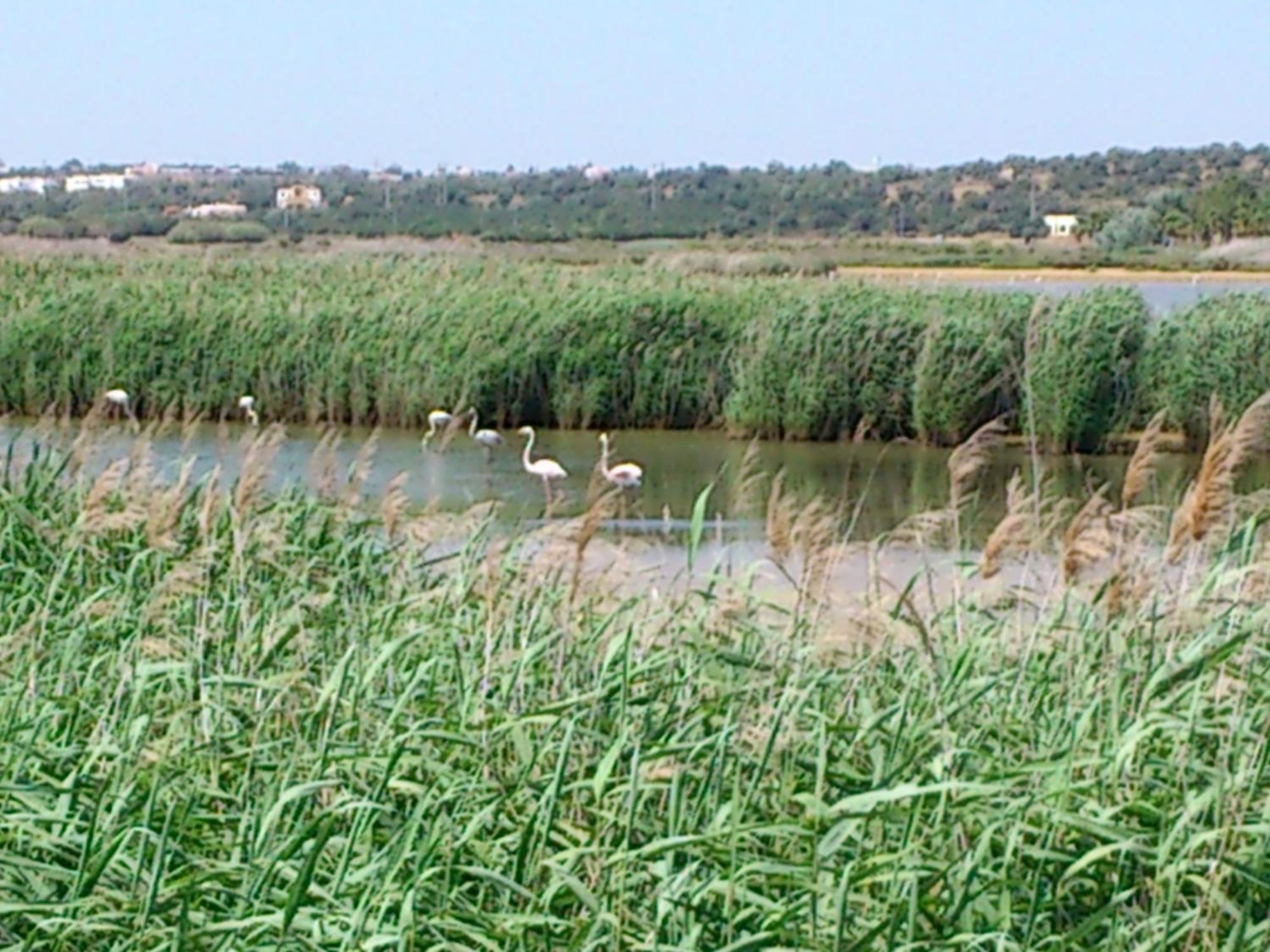 Aparthotel Bayside Salgados Albufeira